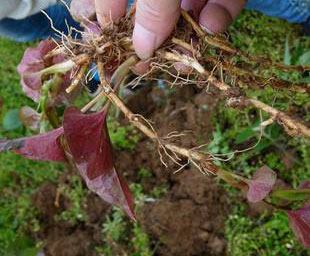 7e8a383a01d0d622f504d7a589a6b0f6.jpg 7e8a383a01d0d622f504d7a589a6b0f6.jpg