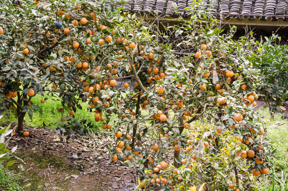 微信圖片_20190310185022.jpg 微信圖片_20190310185022.jpg