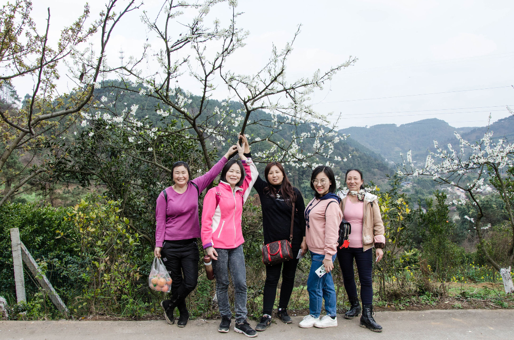 微信圖片_20190310185017.jpg 微信圖片_20190310185017.jpg