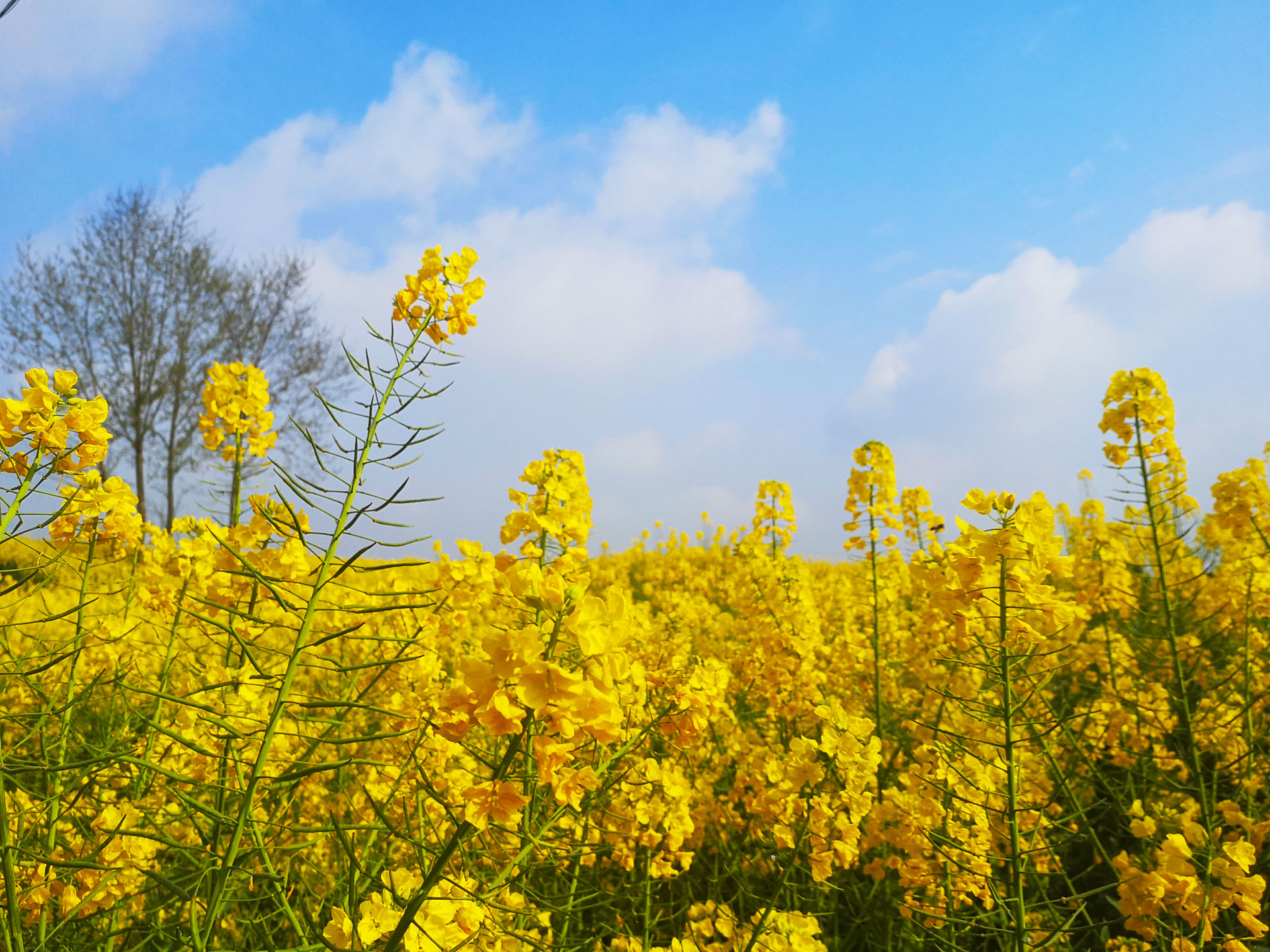 微信圖片_20190309111033.jpg 微信圖片_20190309111033.jpg